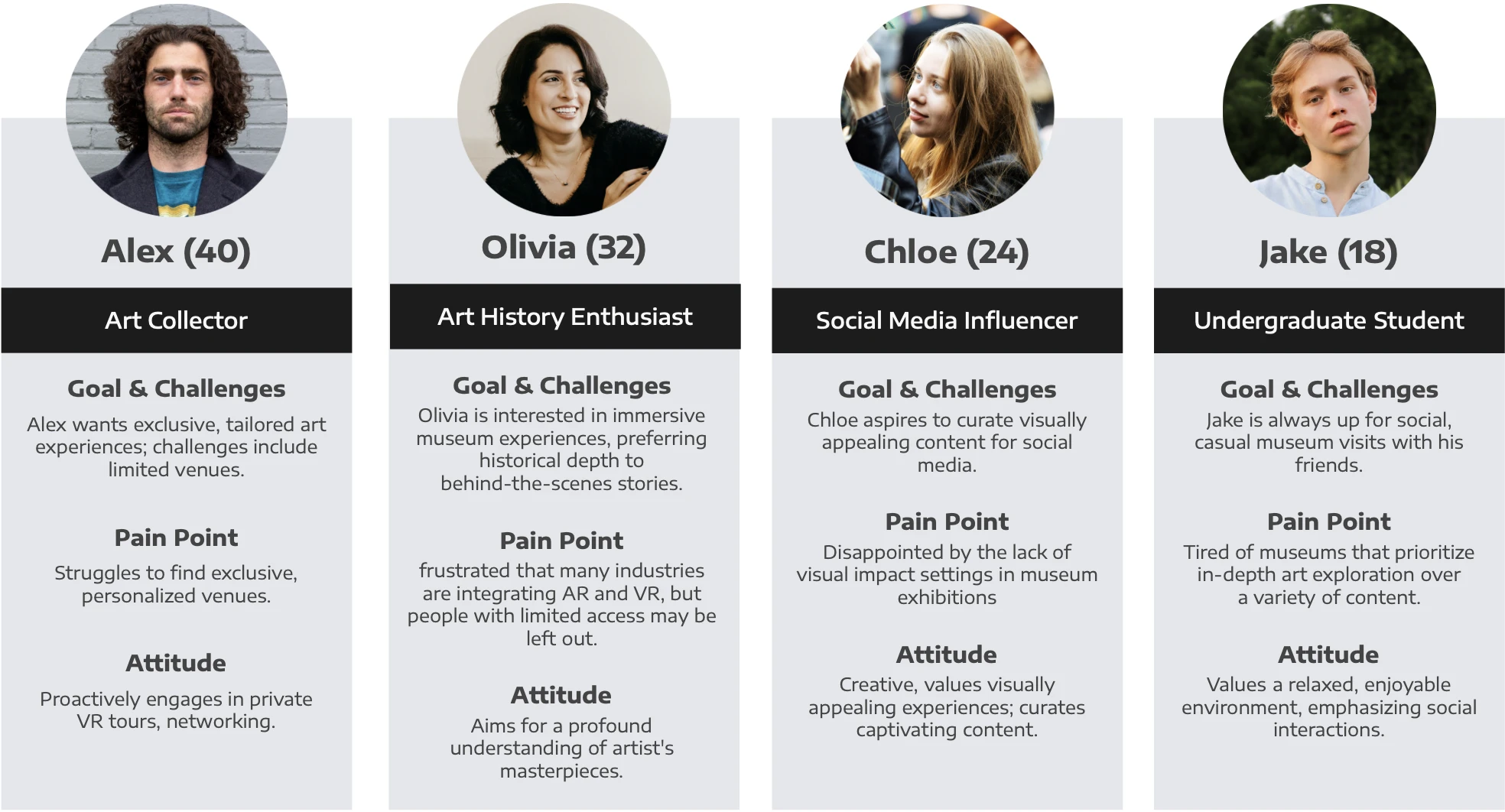 Four visitor personas defined by the research, from art collector to casual student